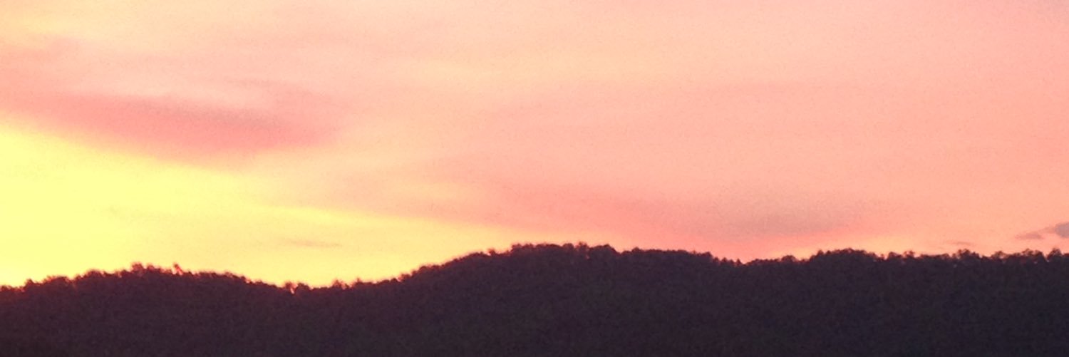 Justin Chastain banner