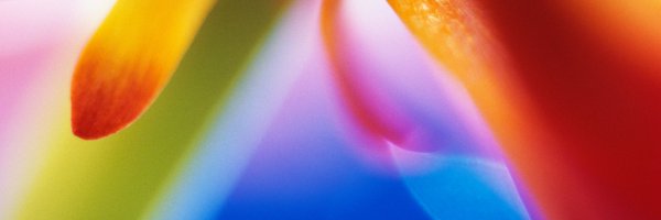 ehmyers Profile Banner