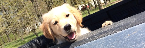 LSteinman64's profile banner image