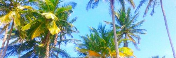 itz_odg Profile Banner