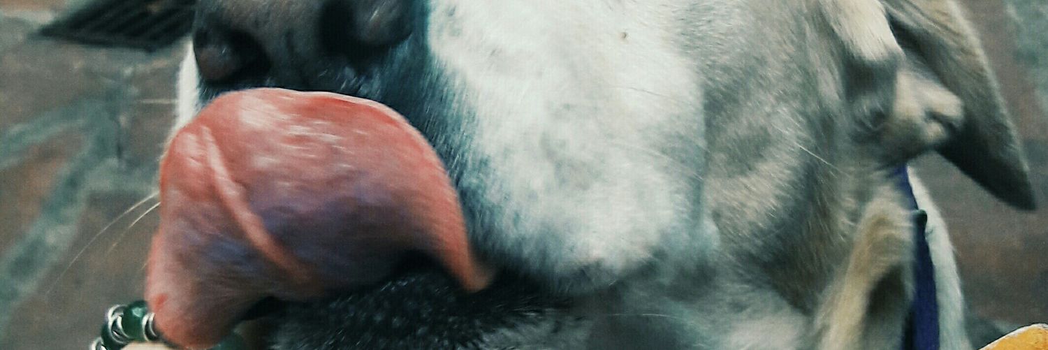 GiussiM's profile banner image