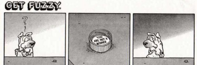 Rachel Elizardbeth Schaefer banner