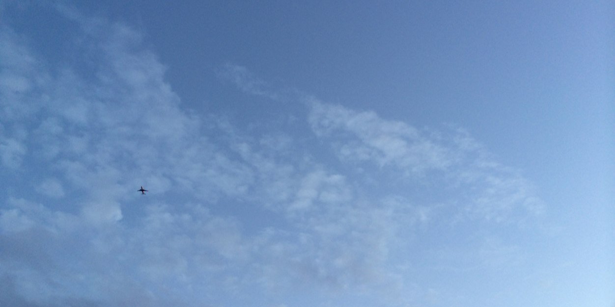 dinopapaplus's profile banner image