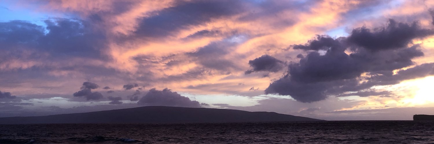 kamieleon_'s profile banner image