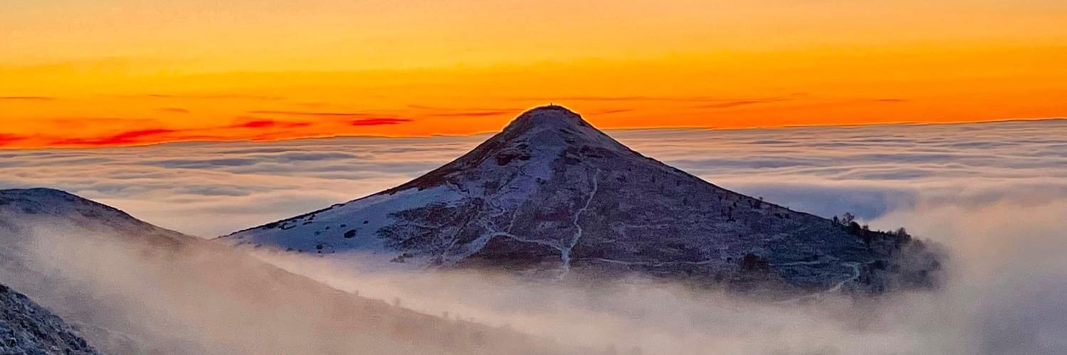 Trudi Madly Deeply banner