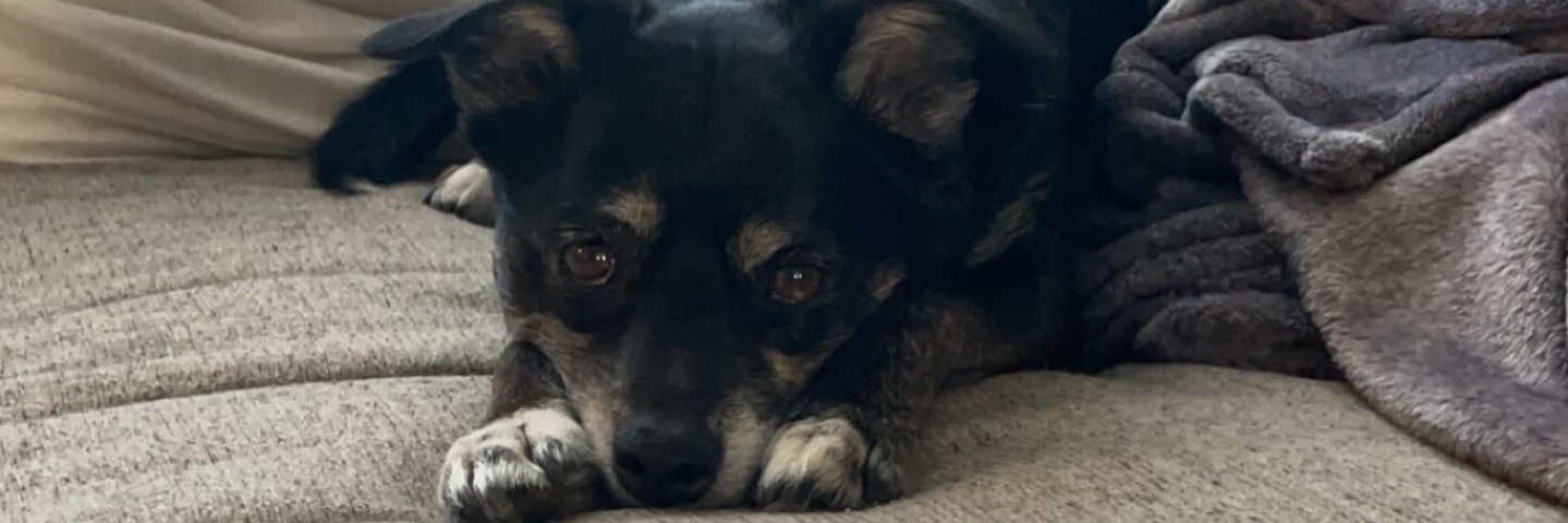 bribertrand's profile banner image