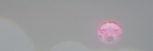 Jacobwesleyt's profile banner image