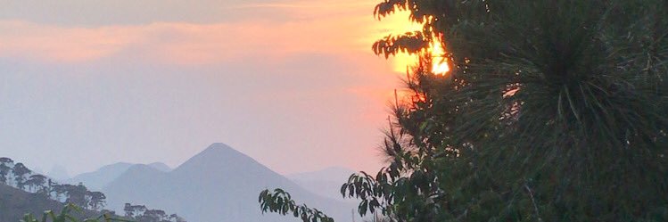 julia_rgs's profile banner image