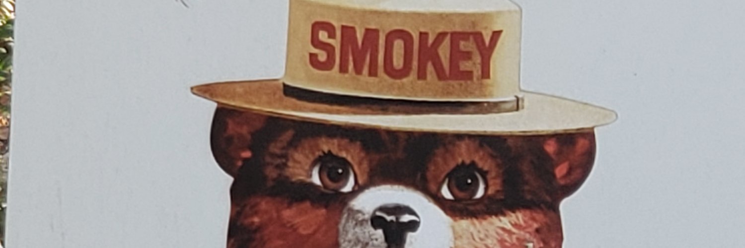 hindssite's profile banner image