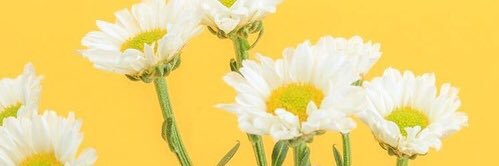 HarkiranJ's profile banner image