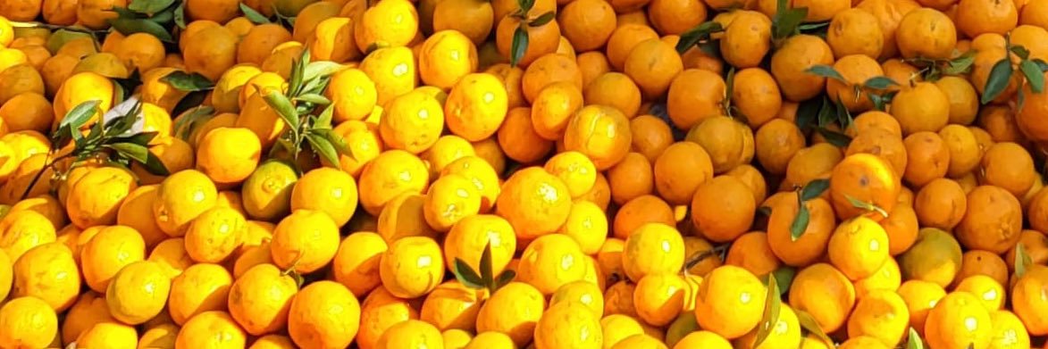 chhoonnu's profile banner image