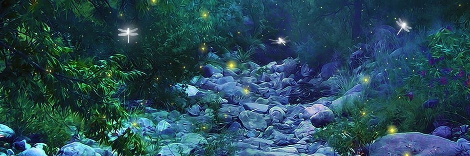donna_bland's profile banner image