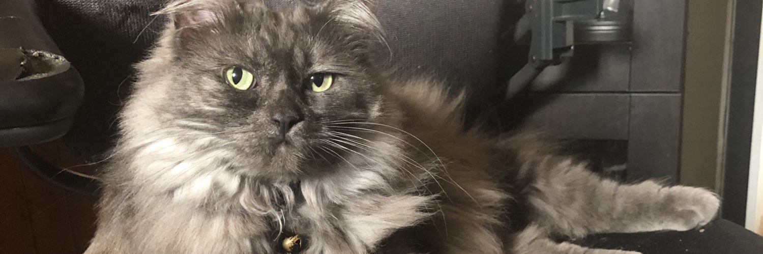fabiolon's profile banner image