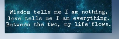 Chirps_n_Chimes's profile banner image