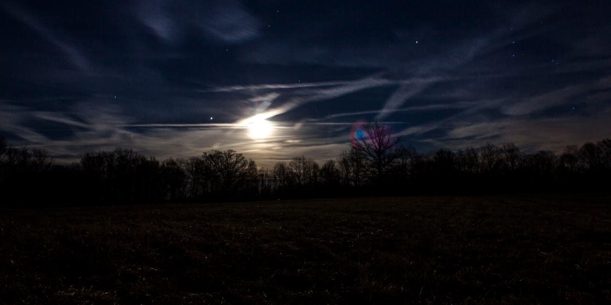 torileggett's profile banner image