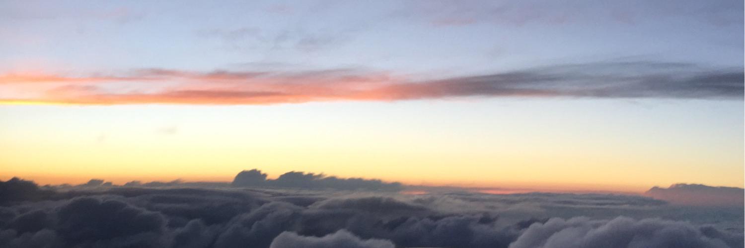 wangjanejanez's profile banner image