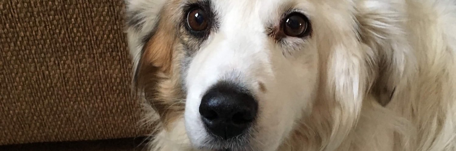 Jaketh__'s profile banner image