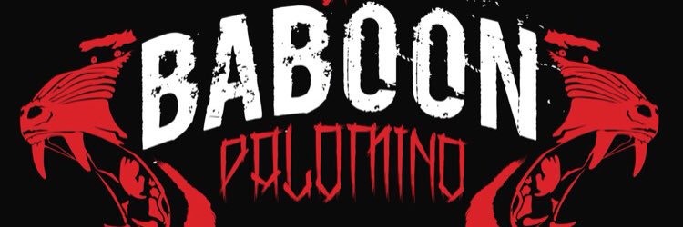 luis palomino banner