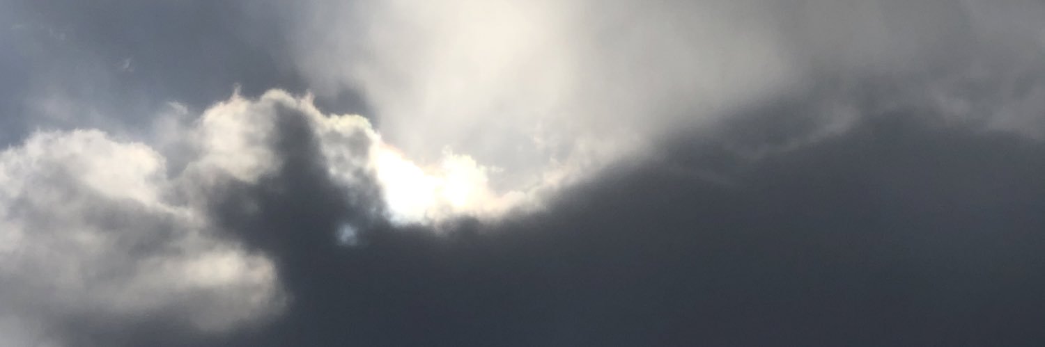 aethernarwhal's profile banner image