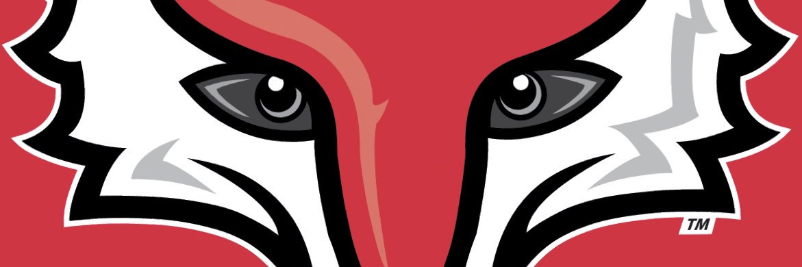RayV420's profile banner image