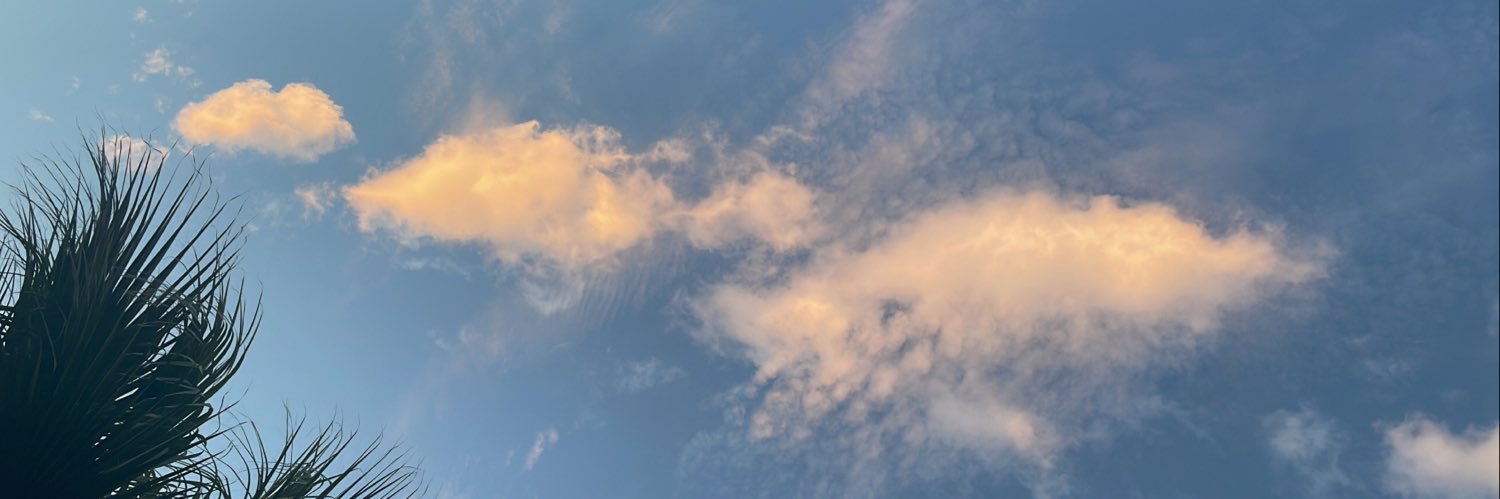 Яач banner