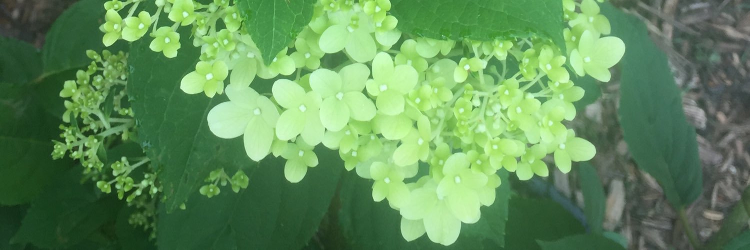 amandawells84's profile banner image