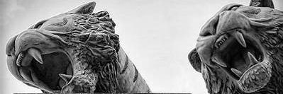 IrvIntelligent's profile banner image