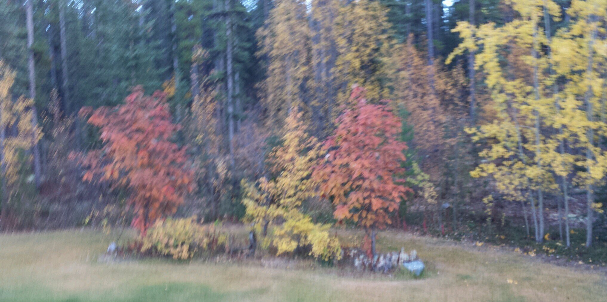 YukonArnold's profile banner image