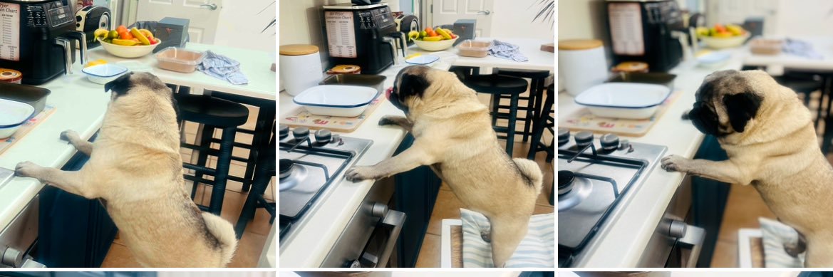 lesley sutcliffe banner