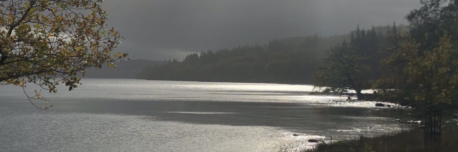 redlee6963's profile banner image