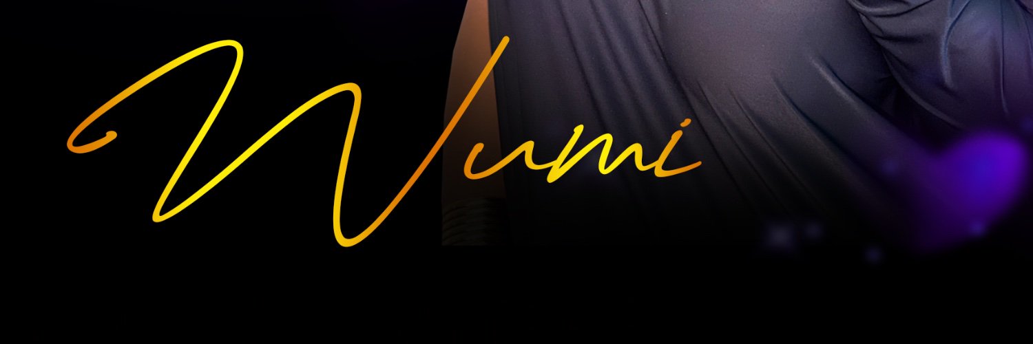 WumiMusik's profile banner image