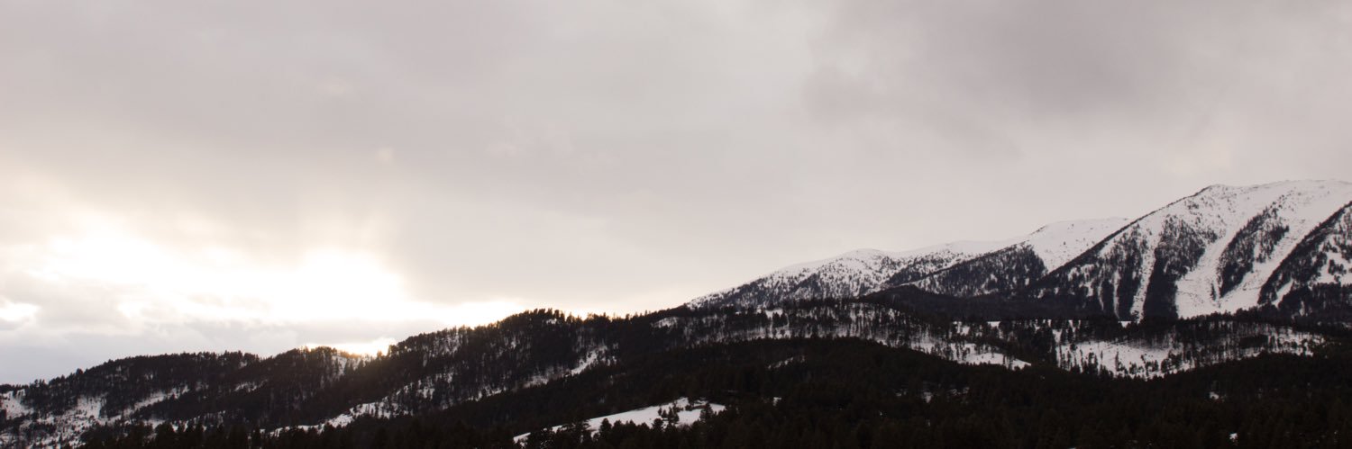 AllysonKiser's profile banner image