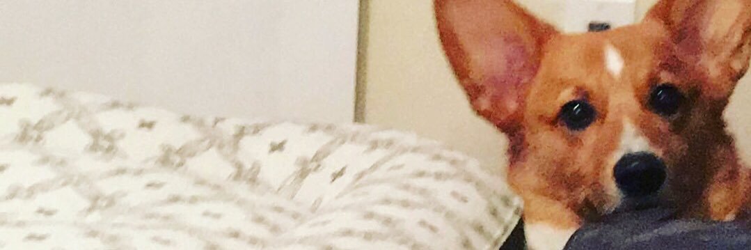 paigesters12's profile banner image