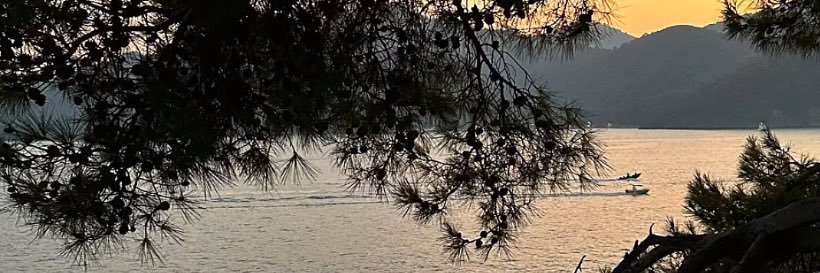 Doskudu's profile banner image