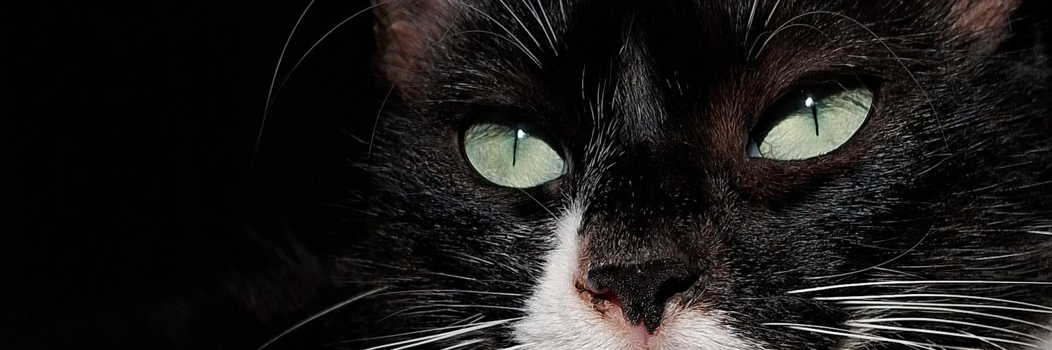 ju_benderr's profile banner image