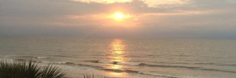 Anthony Ramos banner