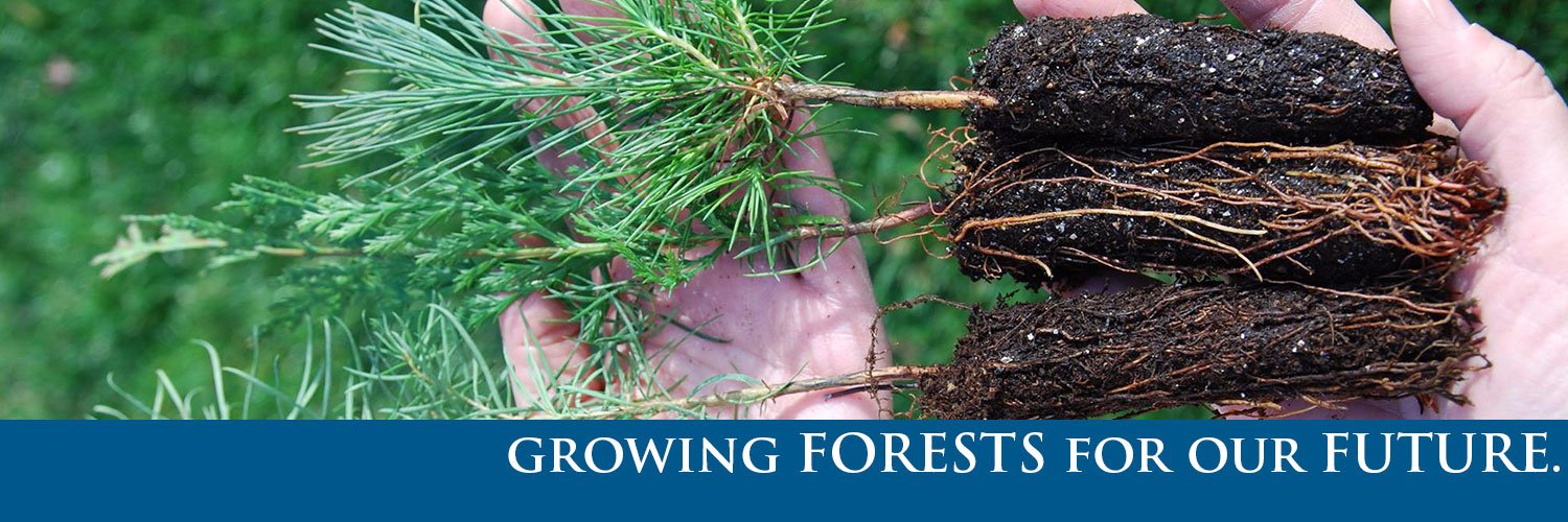 Sierra Pacific Ind. banner