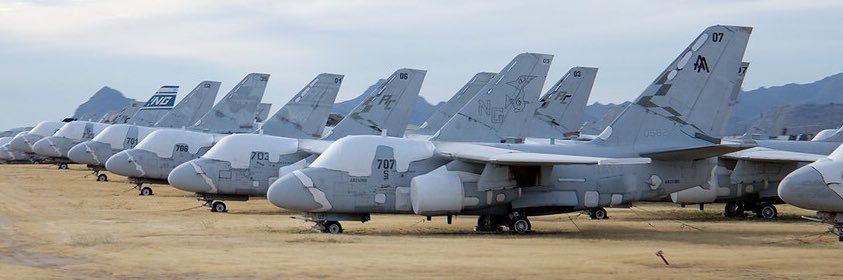 ✝️♦️🔱 Cactus Viking 🔱♦️✝️ banner