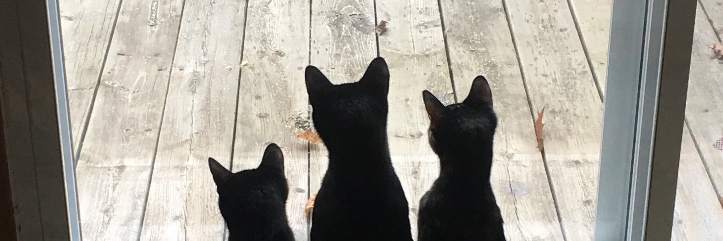 DefeatedByDoors's profile banner image