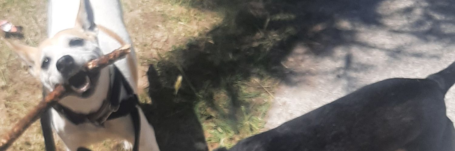 Dieguiso21's profile banner image