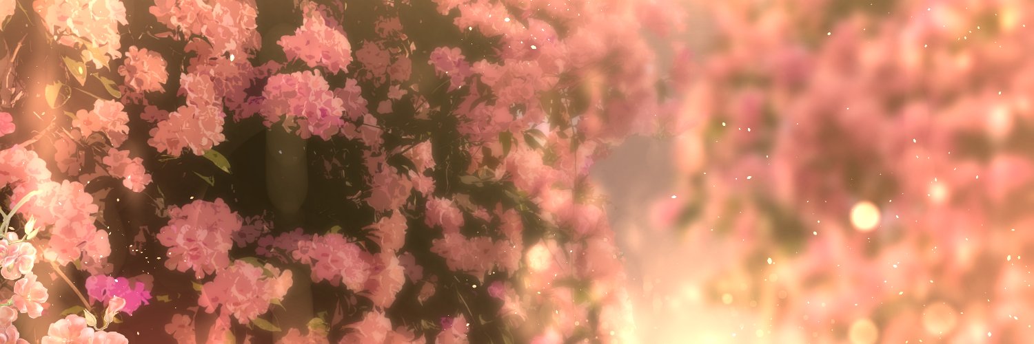 haohobox's profile banner image