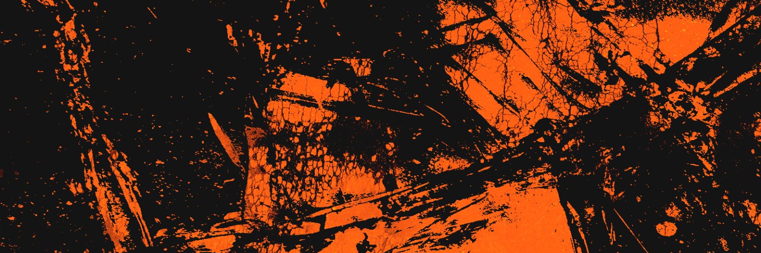 pigeon_hole's profile banner image