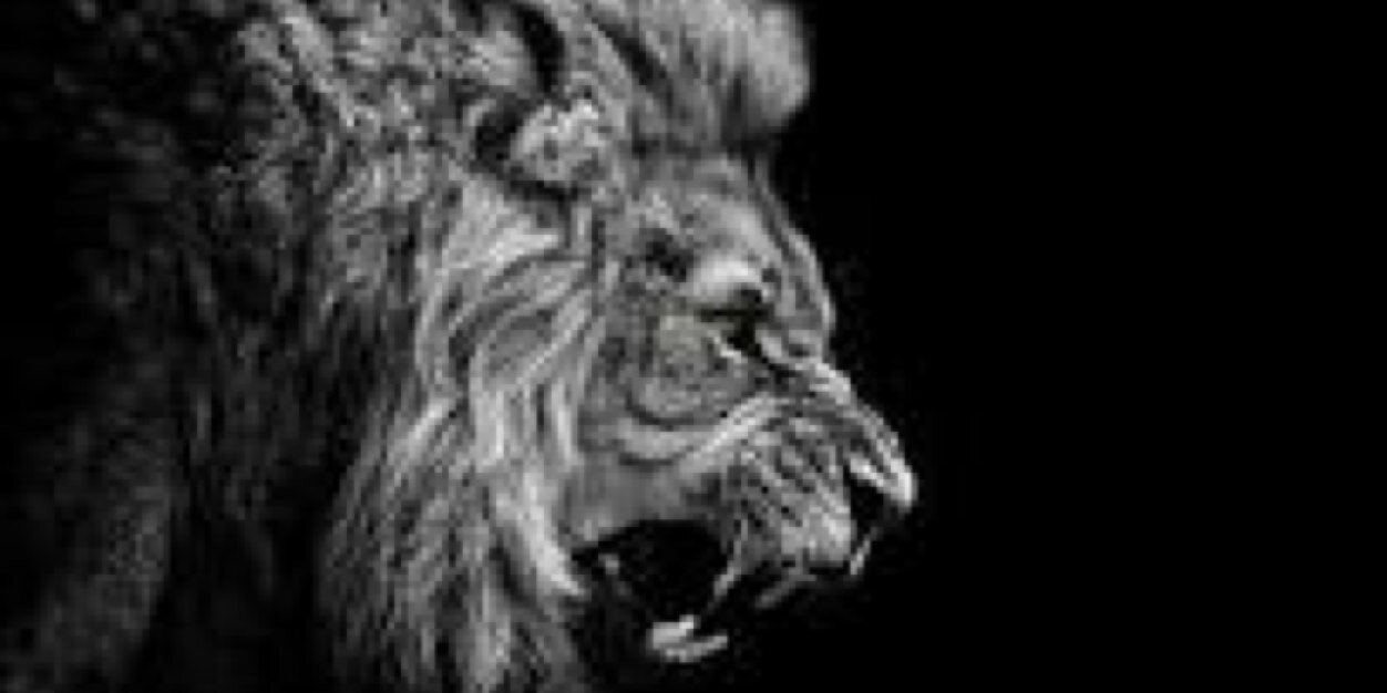 travis_stinson's profile banner image
