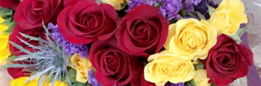 ViRod30's profile banner image