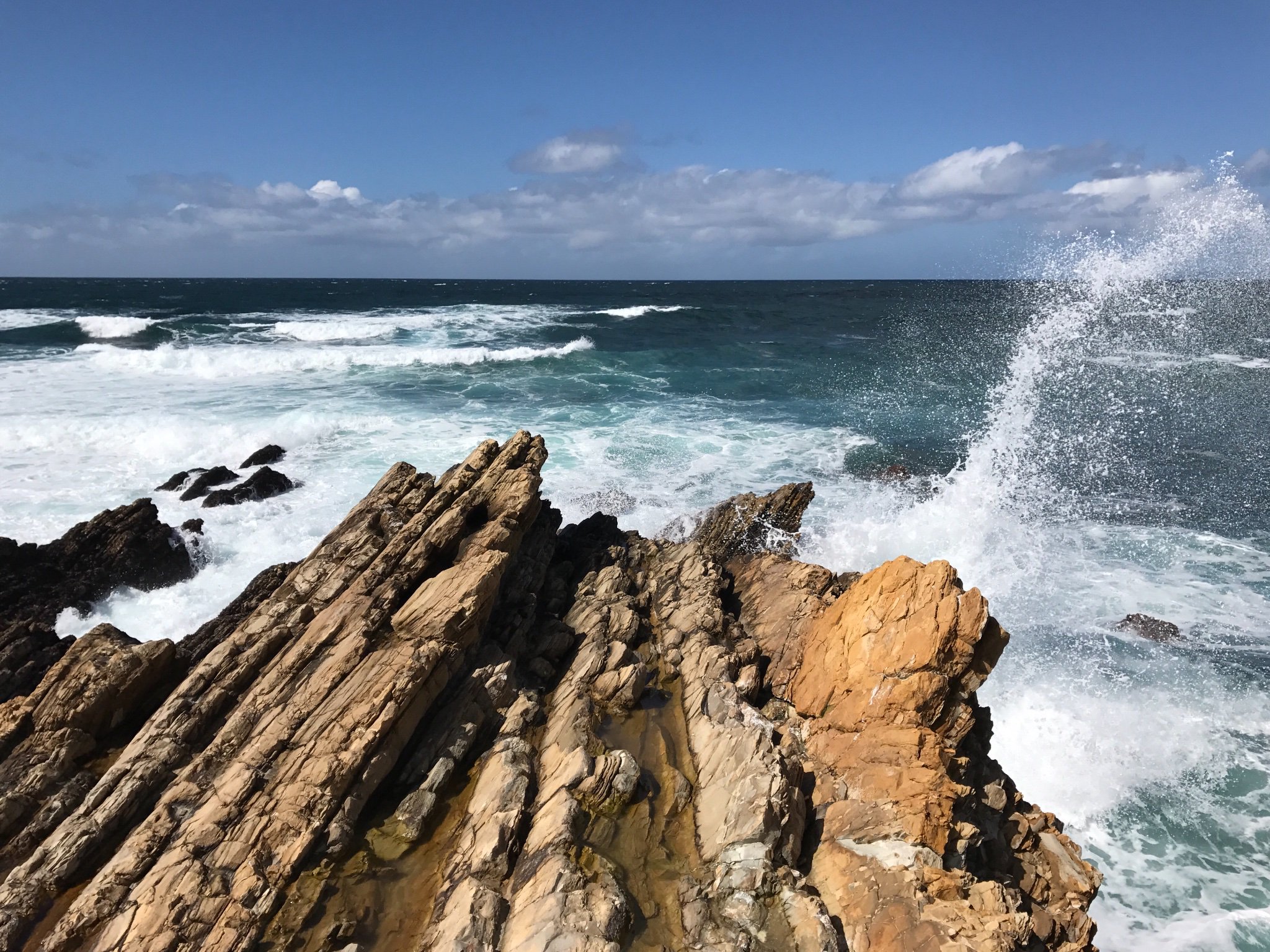 delaneyrasmus's profile banner image