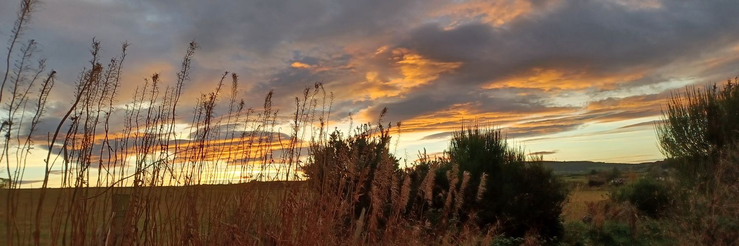 Lorraine McLean banner