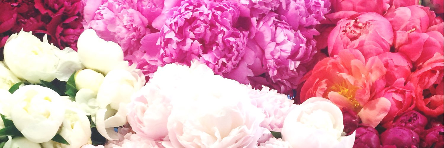 jaymieabe's profile banner image