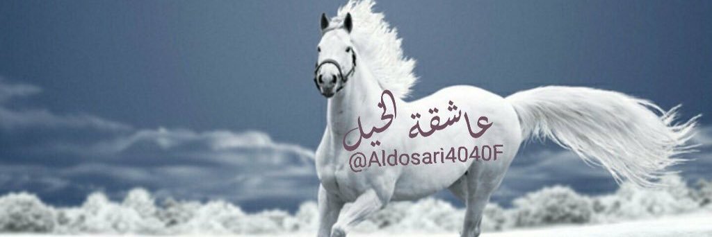 Aldosari4040F's profile banner image