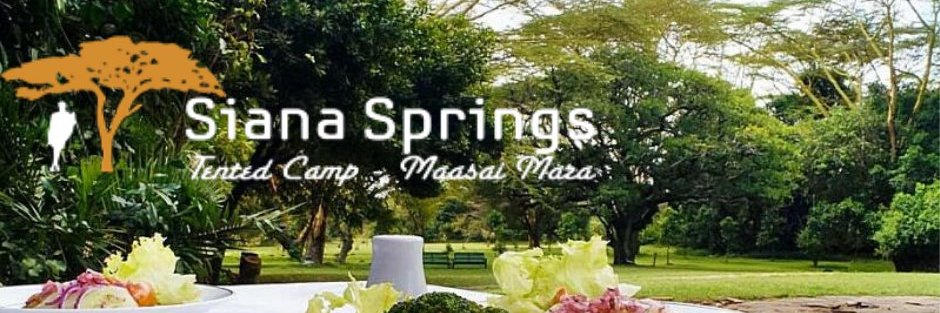 SianaSprings's profile banner image