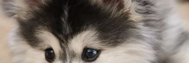 calmbull1's profile banner image
